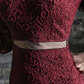 The Socialite Evening Dress: Sexy Slim Fit Lace with V-Neck & Waist Detail